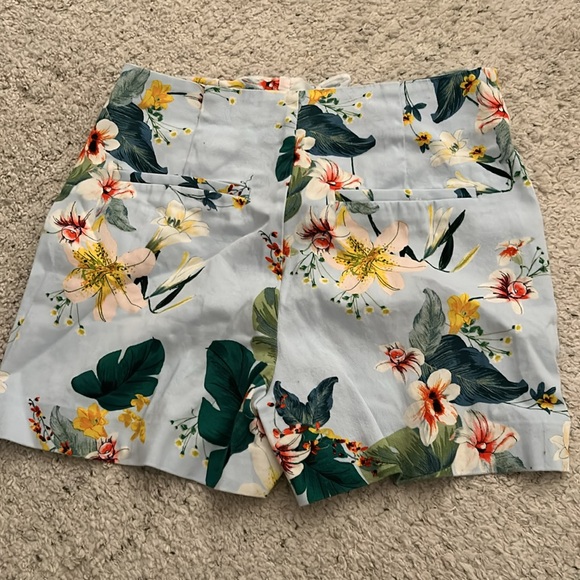 Shorts - Picture 3 of 3